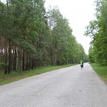 галерея