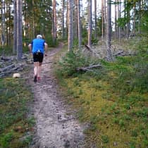 галерея