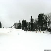 галерея
