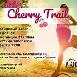 Трейловый забег Cherry Trail, Каслинский район, п.г.т. Вишневогорск