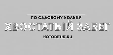 Забег Хвостатый забег по Садовому Кольцу