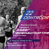 Железногорский городской забег 