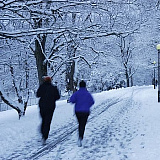 Рождественский полумарафон, Апатиты