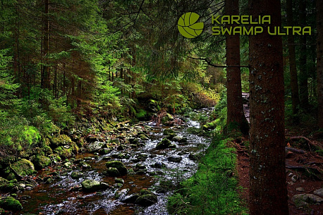 Забег Karelia Swamp Ultra