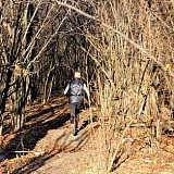 Dream Trail Химкинский лес, Химки