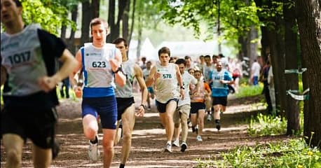 Забег Летний марафон в Терлецком парке
