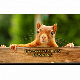 Сверхполумарафон «Балатовская Прямая», Пермь