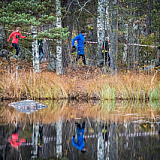 Экстремальный забег VUOKSA TRAIL, Приозерский район