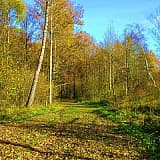 Ромашковский марафон, Одинцовский район, с. Ромашково