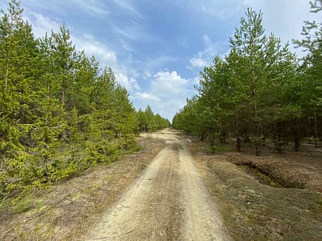 Забег Марафон в песках