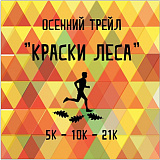 Осенний трейл «Краски Леса», Ступино
