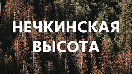 Забег Нечкинская высота