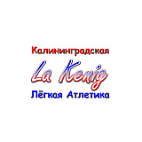 Пробег, посвящённый памяти Маршала СССР А. М. Василевского, Калининград