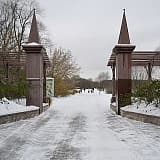 IV Новогодний марафон в Терлецком парке, Москва