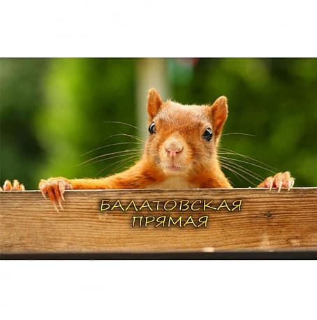 Забег Сверхполумарафон «Балатовская Прямая»