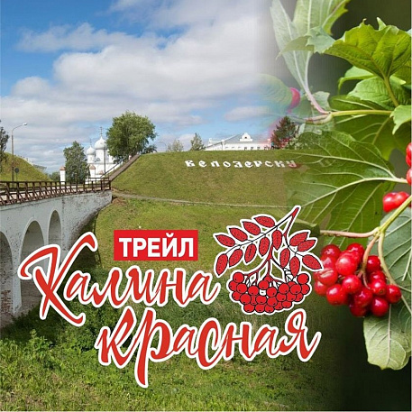 Забег Калина красная