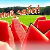 Арбузный Забег Кубка Runtime, Екатеринбург