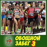 Благотворительный «Овощной забег», Москва