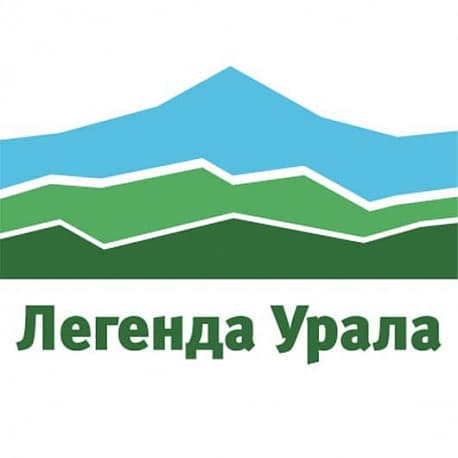 Забег Спортивный фестиваль 