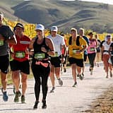 Марафон по виноградникам, Анапа