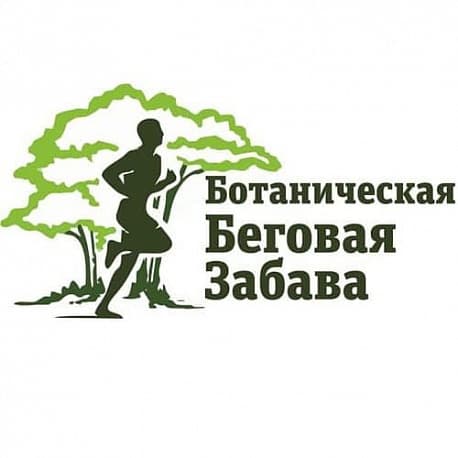 Забег Беговая забава (Новогодняя)