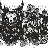 Forest Run Mytischi Trail, Мытищи