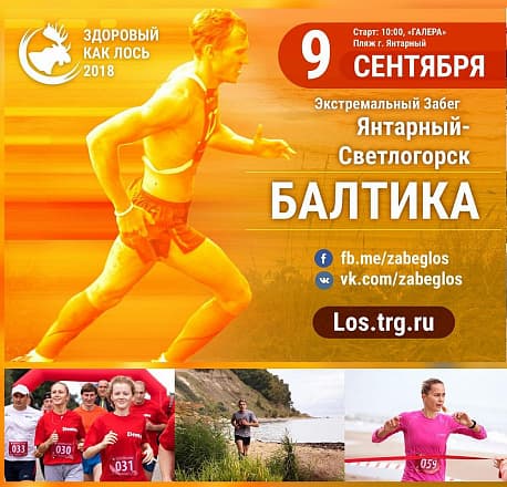 Забег Экстремальный туристический забег «Здоровый как лось» — Балтийский этап