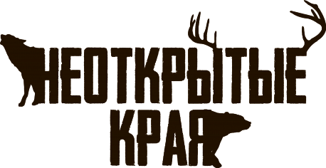 Забег Фестиваль Спортмастер PRO Trail