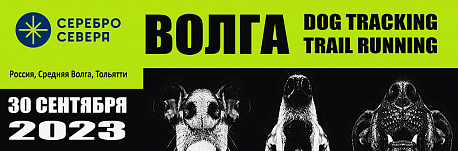 Забег Волга Trail Running