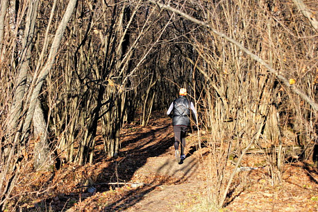 Забег Dream Trail Химкинский лес