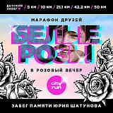 Белые розы в розовый вечер. Юра Шатунов 50 лет, Люберцы