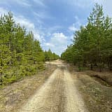 Марафон в песках, Воскресенск