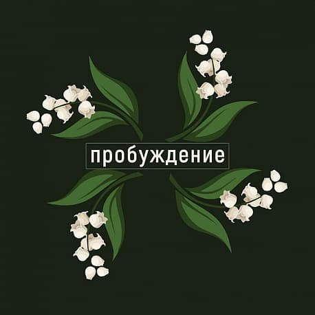 Забег Весенний трейл 