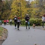 Пушистый забег, Москва